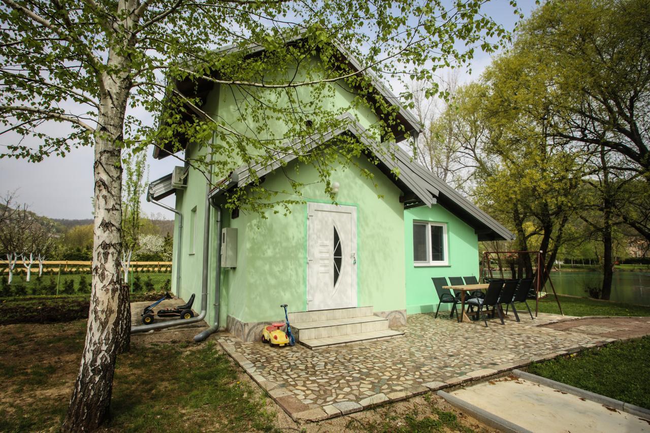 Kuca Delic Villa Racic Exterior photo